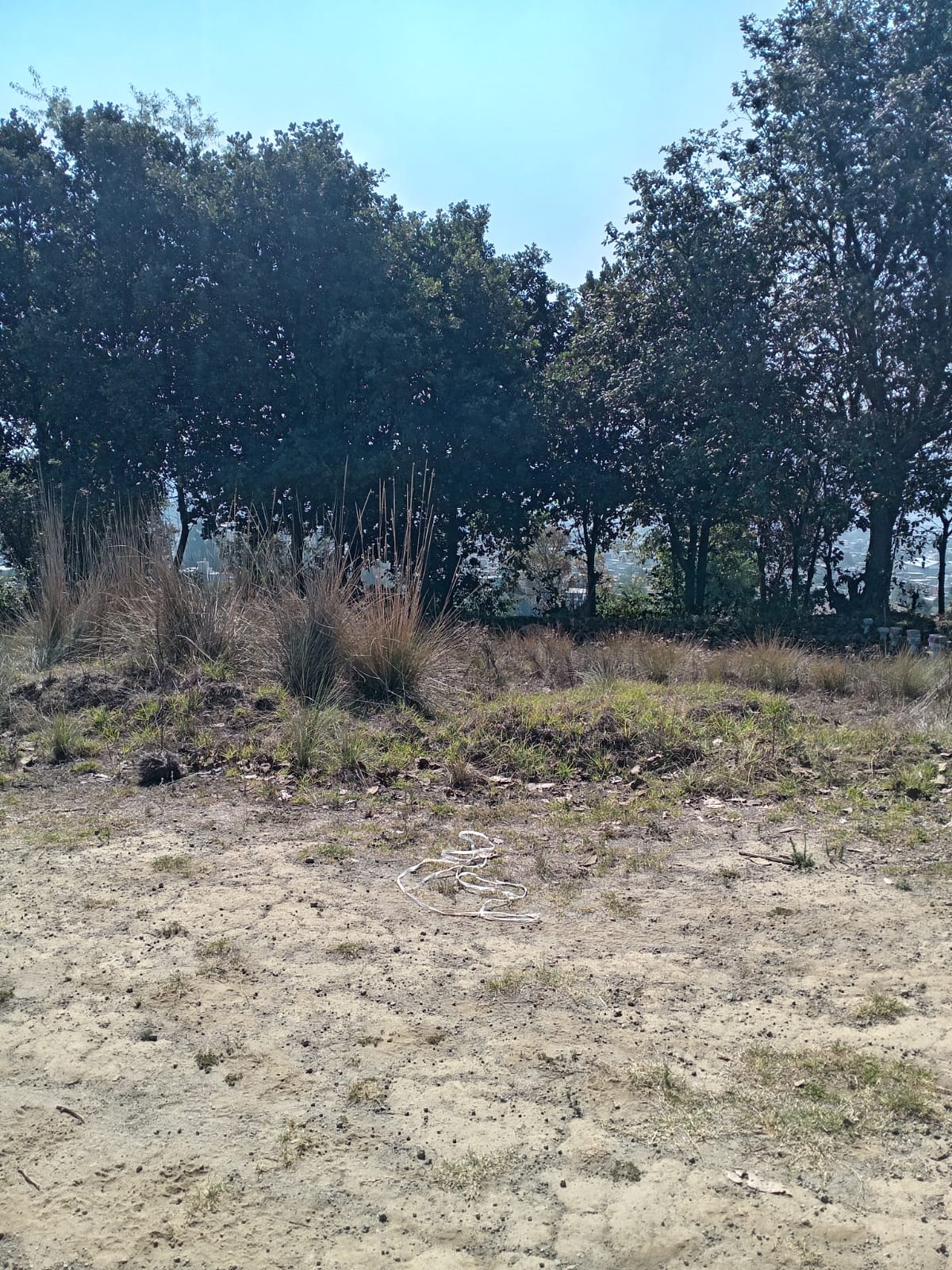 ccp4