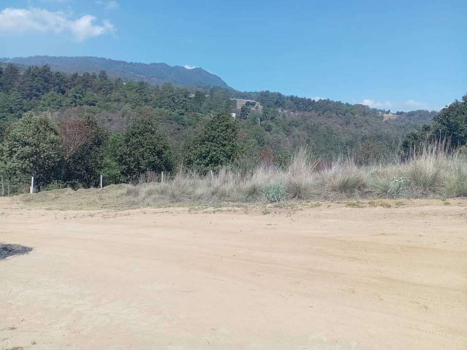 cp1