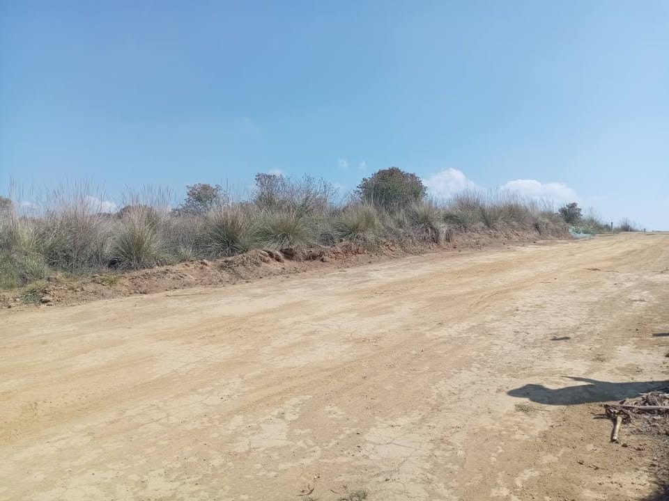 cp5