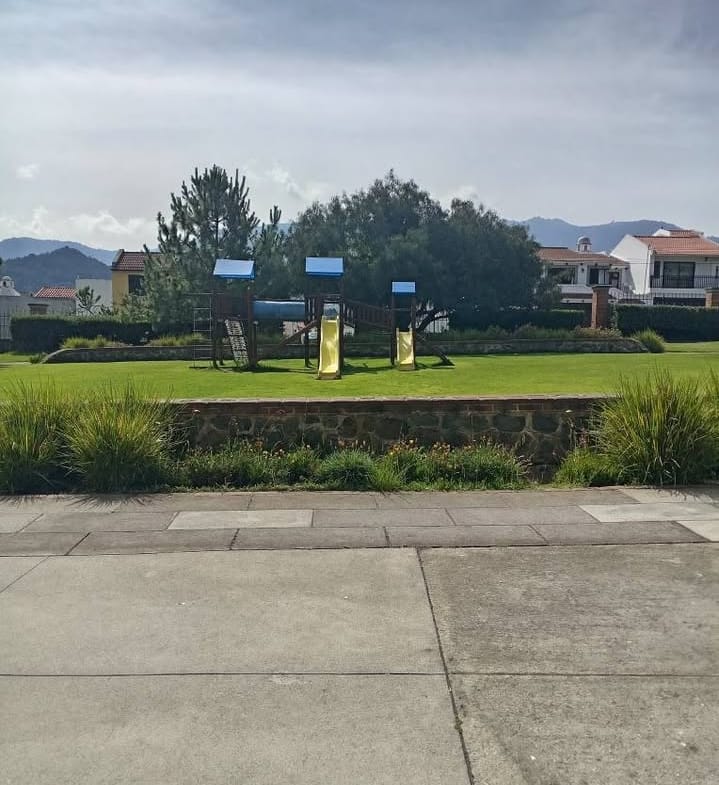 719